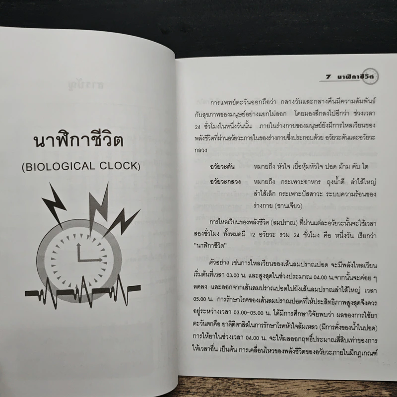 นาฬิกาชีวิต Biological Clock เล่ม 1 - อ.นวลฉวี ทรรพนันทน์ รูปที่ 8
