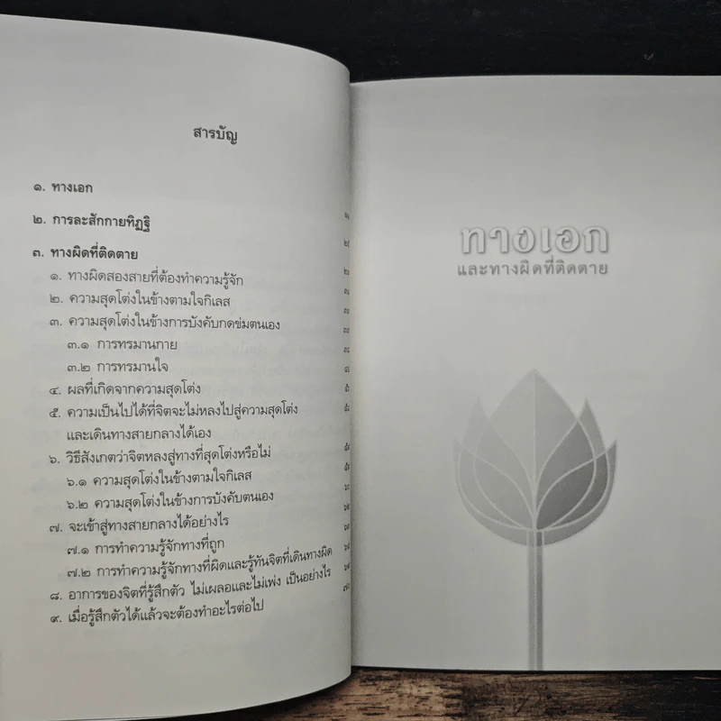 ทางเอกและทางผิดที่ติดตาย - พระปราโมทย์ ปาโมชโช รูปที่ 7