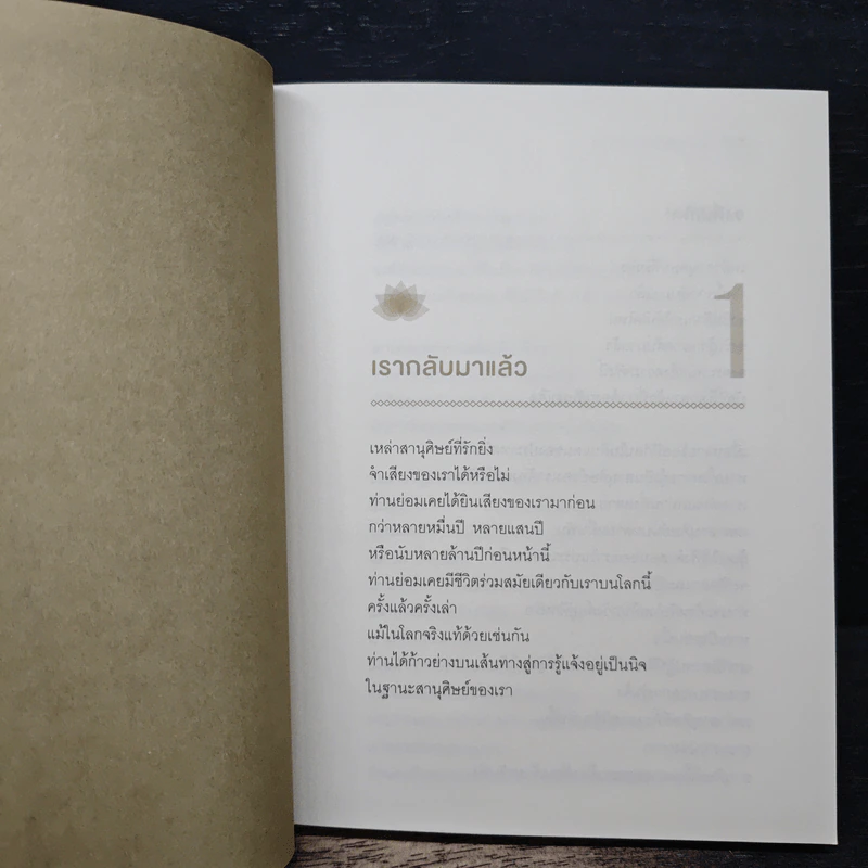 พระพุทธองค์กลับมาแล้ว - ริวโฮ โอคาวา รูปที่ 8