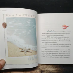 ตรงเส้นขอบฟ้า - ชุติพันธุ์ ฉายประกายแก้ว รูปที่ 8
