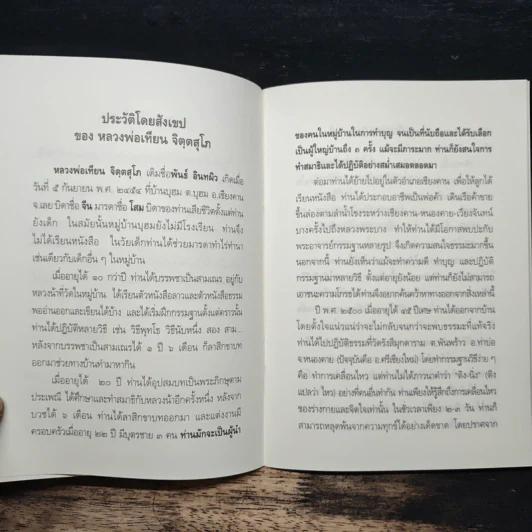 ความรู้สึกตัว - หลวงพ่อเทียน จิตฺตสุโภ รูปที่ 7