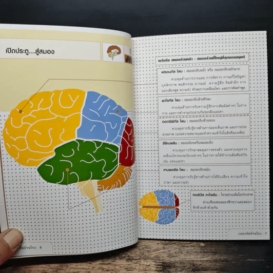 ถอดรหัสอัจฉริยะ Mind Games - Michael Powell รูปที่ 8