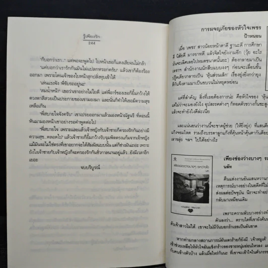 รู้เพียงรัก - เมเปิ้ลสีขาว รูปที่ 8