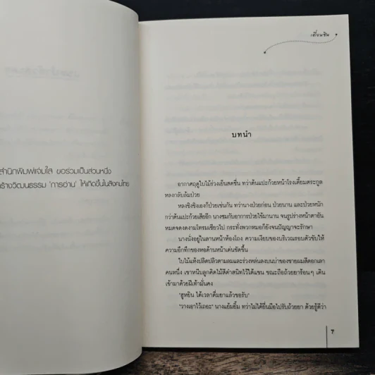 จอมพยัคฆ์หญิง ชุด โรงเตี๊ยมอลเวง - เตี่ยนซิน รูปที่ 7