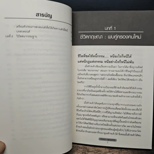 สแกนกรรม 2 - กฤษณา สุริยะมงคล รูปที่ 10