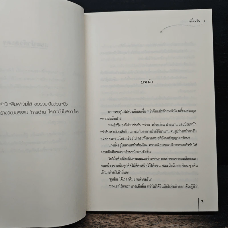 จอมพยัคฆ์หญิง ชุด โรงเตี๊ยมอลเวง - เตี่ยนซิน รูปที่ 7