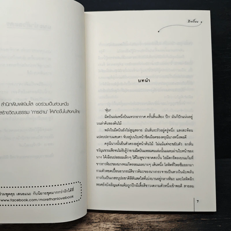 กรงผีเสื้อ - สีเจวี้ยน, Wisnu รูปที่ 7