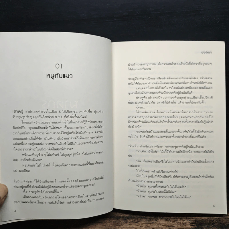 S.C.I. ทีมพิฆาตทรชน 13 เล่มจบ รูปที่ 6