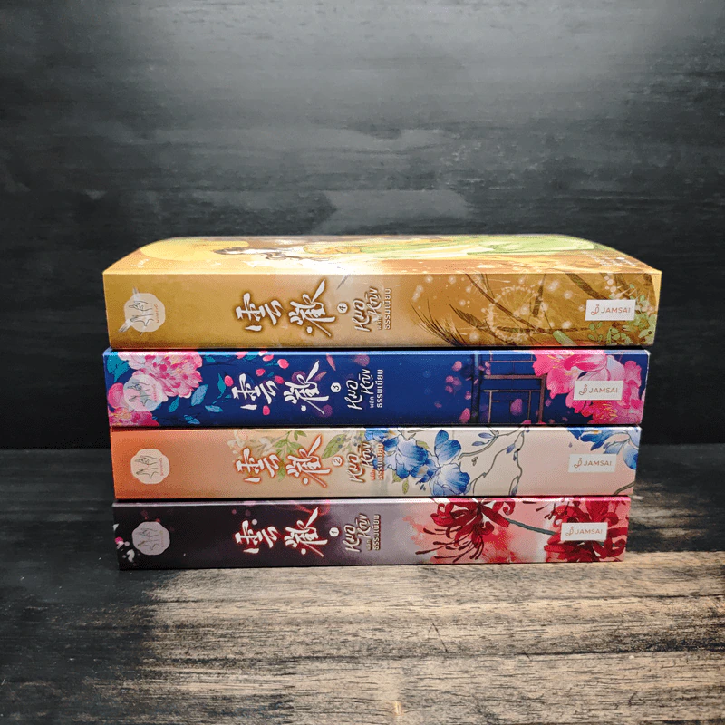 หมอหญิงพลิกธรรมเนียม 4 เล่มจบ - อวี่จิ่วฮวา รูปที่ 2