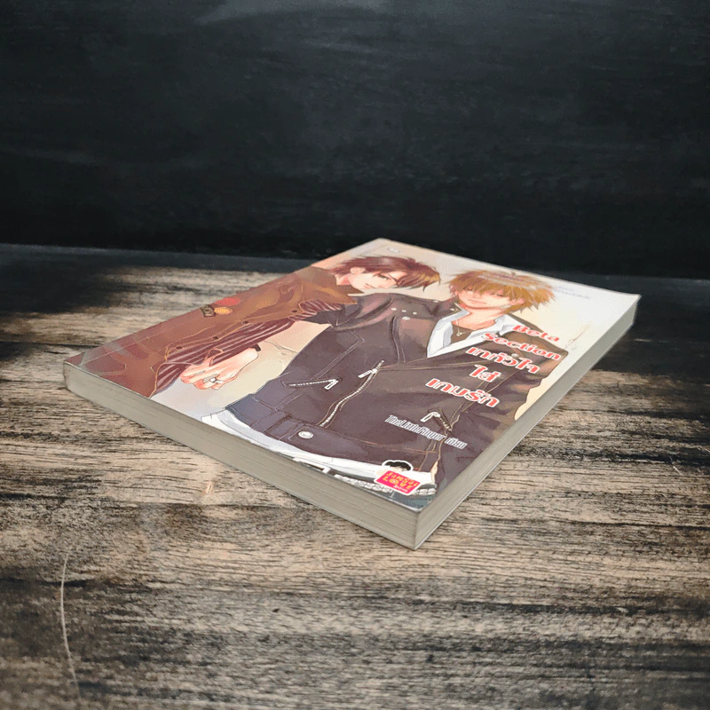 Beta Section เทหัวใจใส่เกมรัก - TheLittleFinger รูปที่ 4