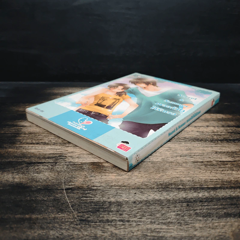 Secret & Summer เผลอหัวใจให้รักเธอ - Merlin รูปที่ 4