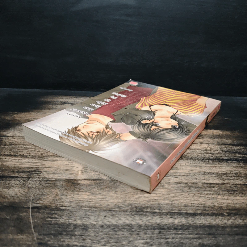 Love's Prisoner ปลดล็อกหัวใจให้ยัยตัวร้าย - หนุ่มกรุงโซล รูปที่ 5