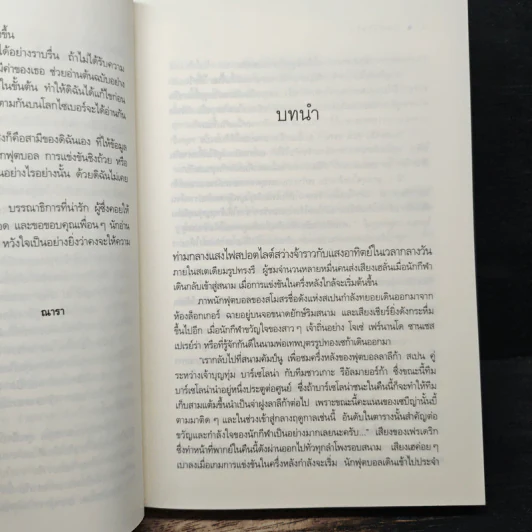 ไฟฝันวันรัก - ณารา รูปที่ 7