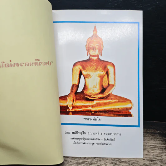 ประวัติหลวงพ่อโต - พระครูโสภณธรรมานุกูล (พระอาจารย์โพธิ์ ศรีนาค) รูปที่ 6