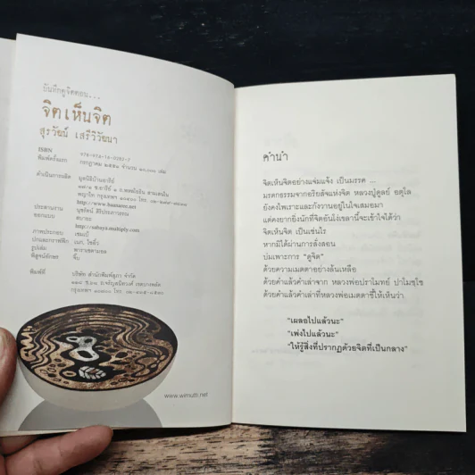 บันทึกดูจิต ตอน จิตเห็นจิต - สุรวัฒน์ เสรีวิวัฒนา รูปที่ 6