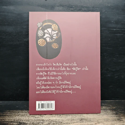 บันทึกดูจิต ตอน จิตเห็นจิต - สุรวัฒน์ เสรีวิวัฒนา รูปที่ 2
