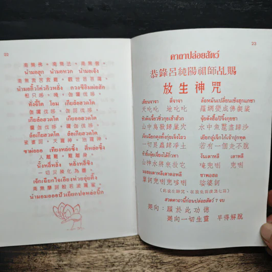 เด็กก่าซิมเตี้ยง (德教心典) รูปที่ 7
