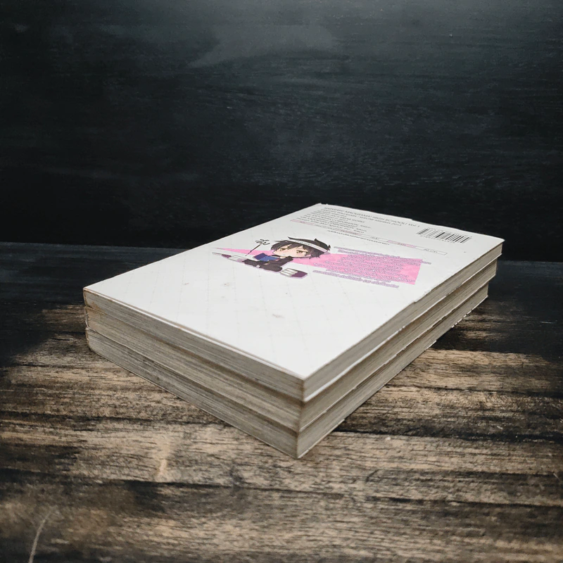 ผู้กล้าซึนซ่าส์กับจอมมารสู้ชีวิต เล่ม 1-2 + ภาค High School เล่ม 1 รูปที่ 3