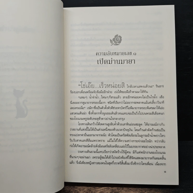 มายากรแห่งรัก - อสิตา รูปที่ 7