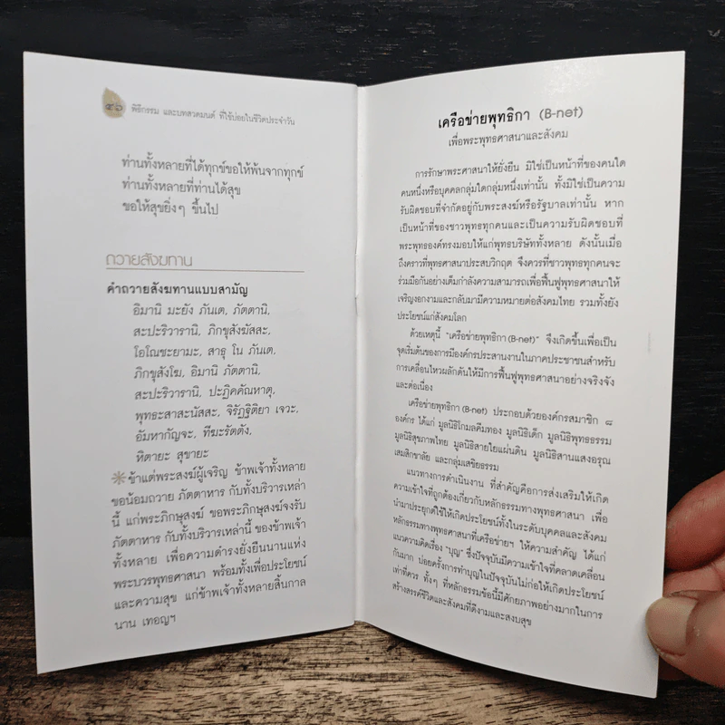 30 วิธี ทำบุญ เพื่อสุขภาพใจและสุขภาพสังคม รูปที่ 8