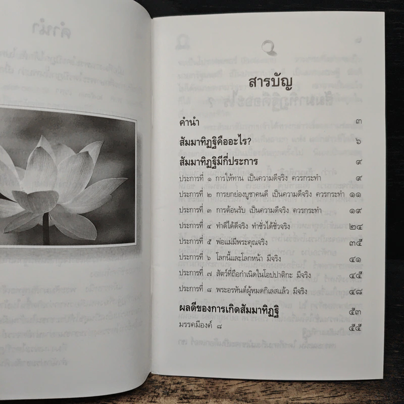 สัมมาทิฏฐิ รากฐานการพัฒนาชีวิต รูปที่ 7