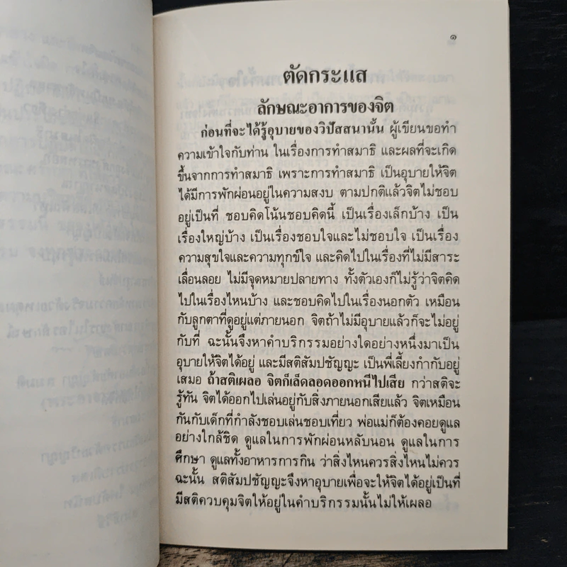 ตัดกระแส - พระอาจารย์ทูล ขิปปปญโญ รูปที่ 8