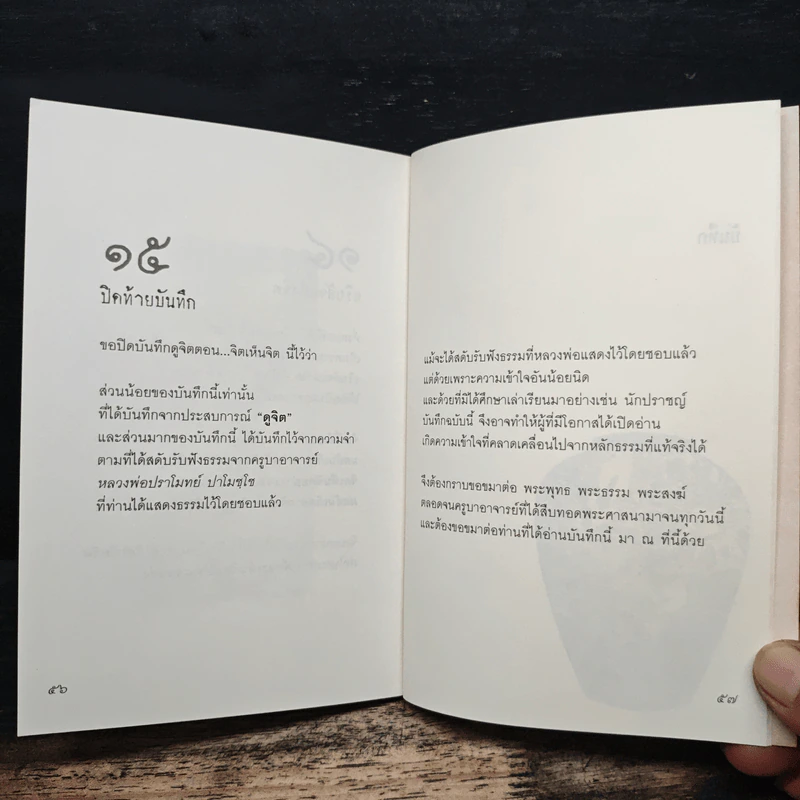 บันทึกดูจิต ตอน จิตเห็นจิต - สุรวัฒน์ เสรีวิวัฒนา รูปที่ 9