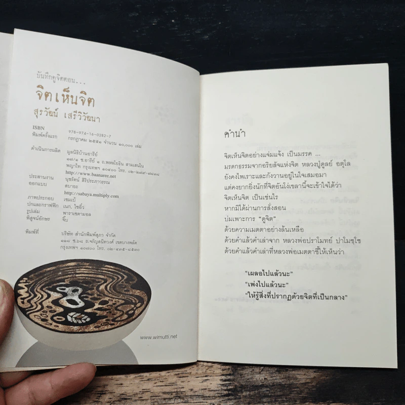 บันทึกดูจิต ตอน จิตเห็นจิต - สุรวัฒน์ เสรีวิวัฒนา รูปที่ 6
