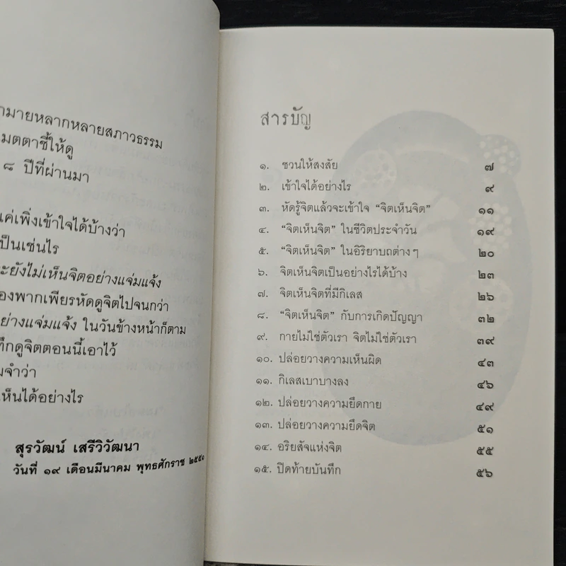บันทึกดูจิต ตอน จิตเห็นจิต - สุรวัฒน์ เสรีวิวัฒนา รูปที่ 7