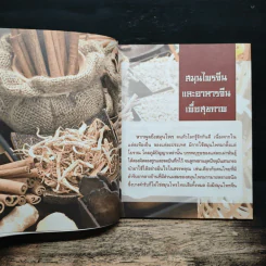 มหัศจรรย์สมุนไพรจีน รูปที่ 9