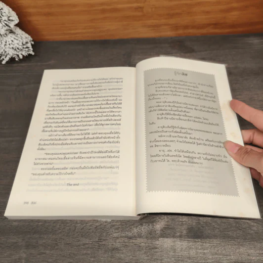 สิงห์ นวนิยายชุดมาเฟียเลือดมังกร - ลิซ รูปที่ 9