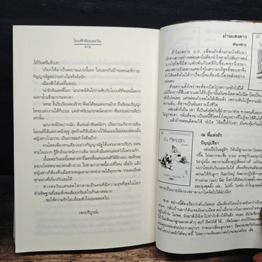 โอบฟ้าล้อมตะวัน - ปัญญ์ปรียา รูปที่ 8