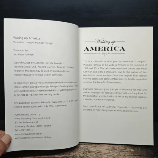Waking Up America - Jess Peter Koffman รูปที่ 6