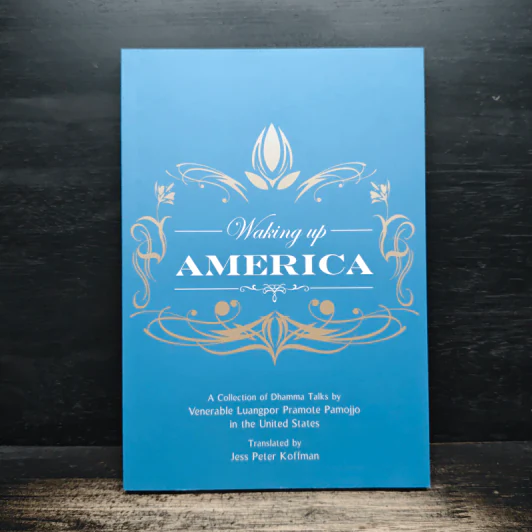 Waking Up America - Jess Peter Koffman รูปที่ 1