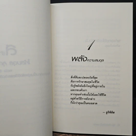 สร้างชีวิตให้สมดุล คุณทำได้ - ชารอน เว็กส์ไซเดอร์-ครูซ รูปที่ 10