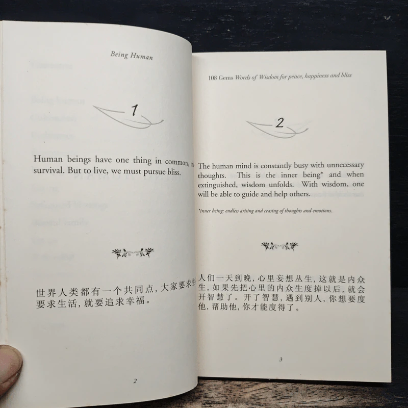 108 Gems Words of Wisdom รูปที่ 8