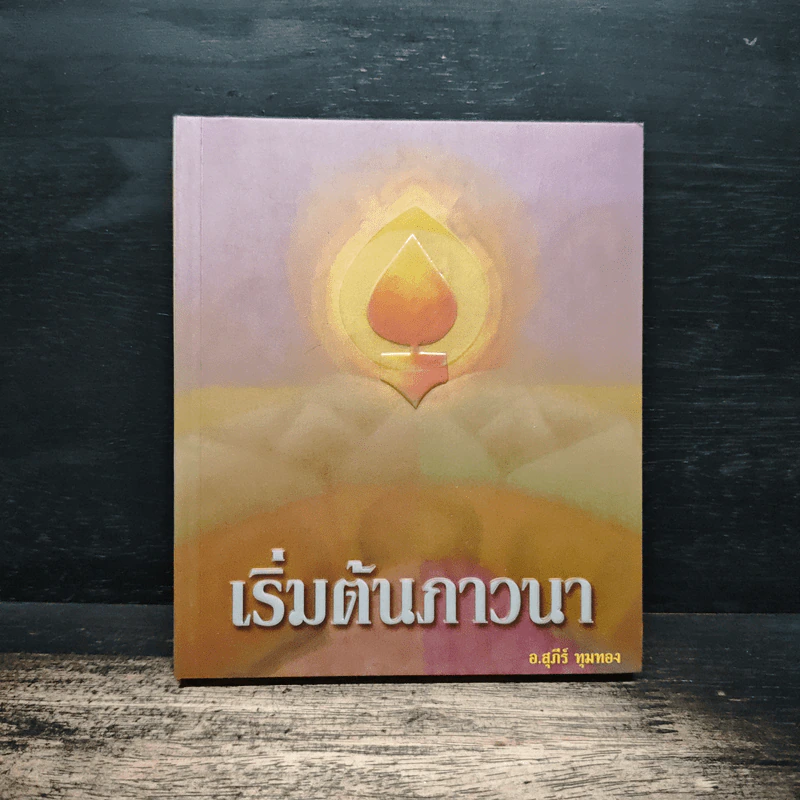 เริ่มต้นภาวนา - สุภีร์ ทุมทอง รูปที่ 1