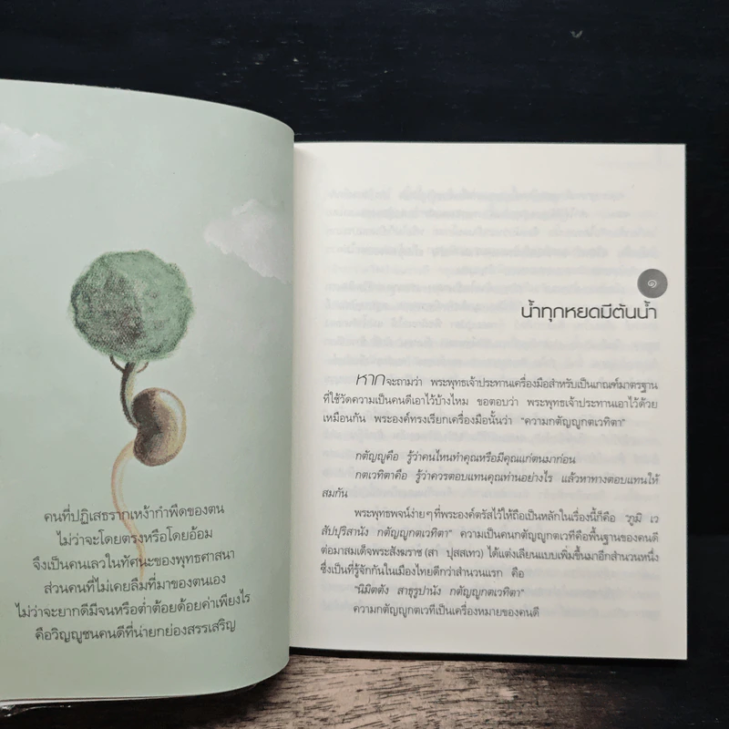 ธรรมะติดปีก - ว.วชิรเมธี รูปที่ 8