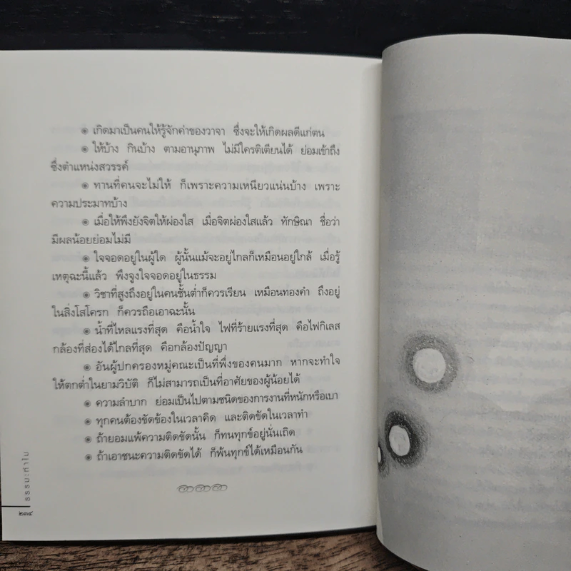 ธรรมะทำไม - ว.วชิรเมธี รูปที่ 9