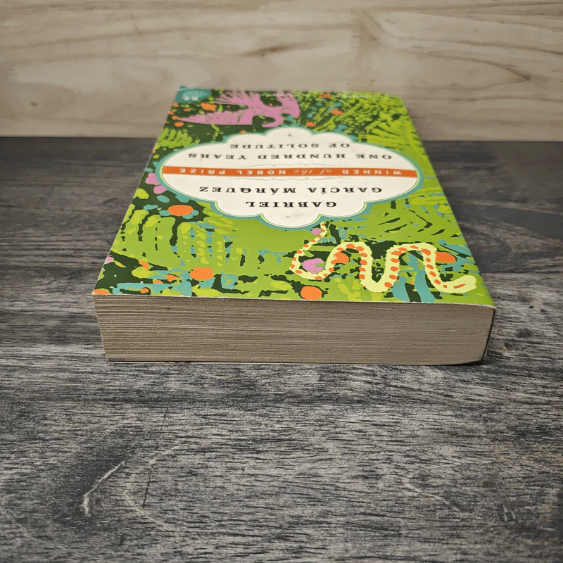 One Hundred Years of Solitude - Gabriel García Márquez รูปที่ 4