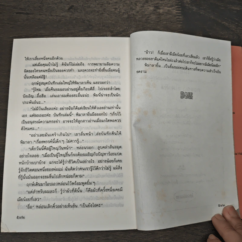 เพลิงบุญ - กฤษณา อโศกสิน รูปที่ 8