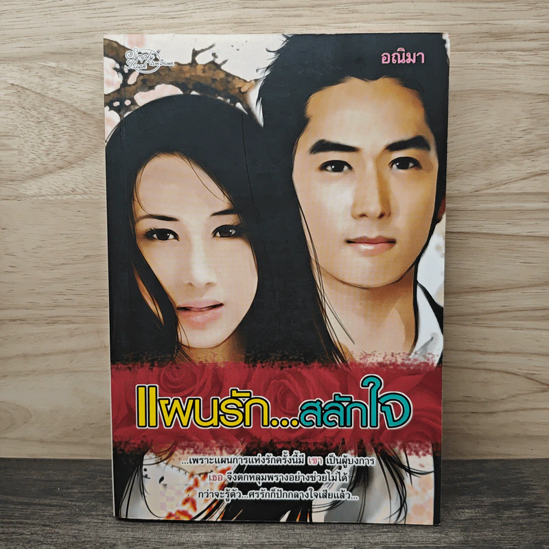 แผนรัก...สลักใจ - อณิมา รูปที่ 1