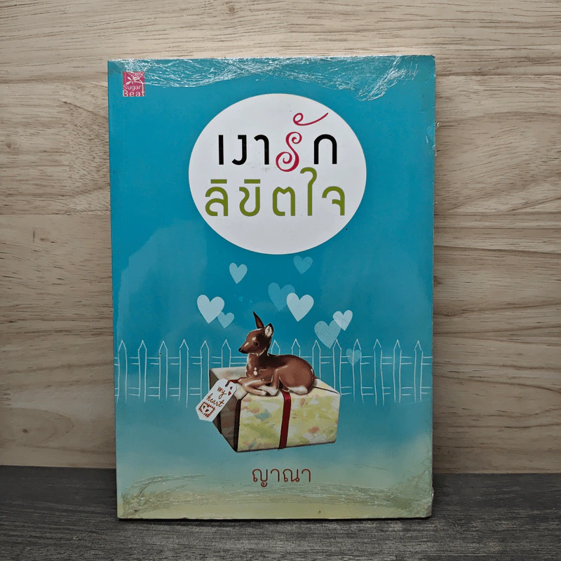 เงารักลิขิตใจ - ญาณา รูปที่ 1