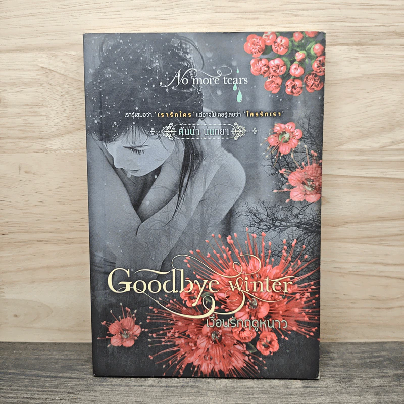 Goodbye winter เงื่อนรักฤดูหนาว - ต้นน้ำ นนทยา รูปที่ 1
