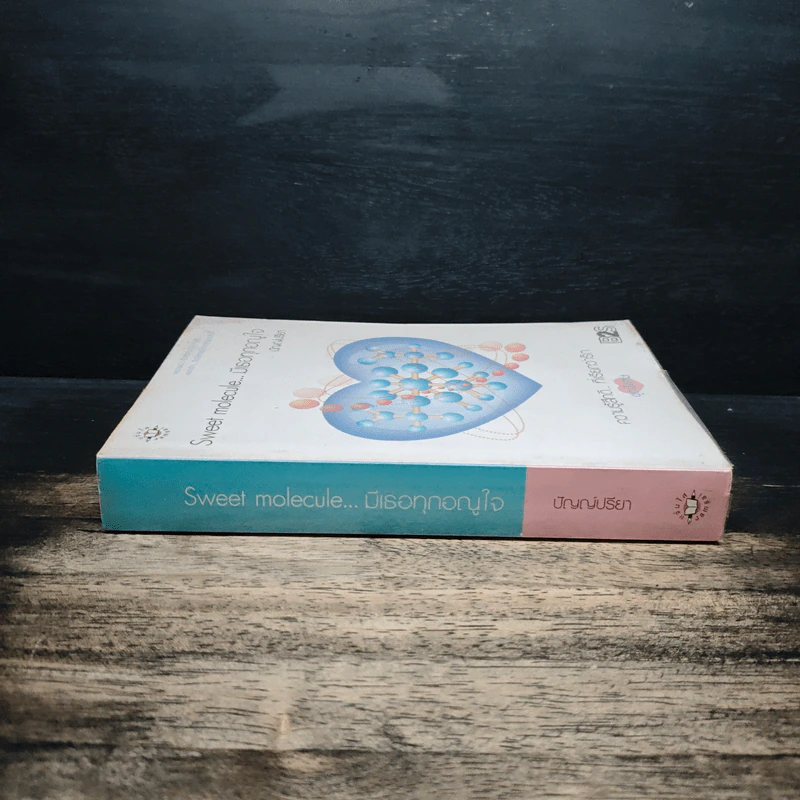 Sweet molecule...มีเธอทุกอณูใจ - ปัญญ์ปรียา รูปที่ 3
