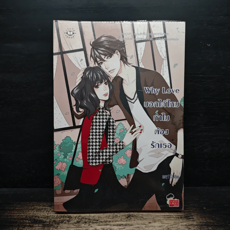 Why Love บอกได้ไหม ทำไมต้องรักเธอ - May112 รูปที่ 1