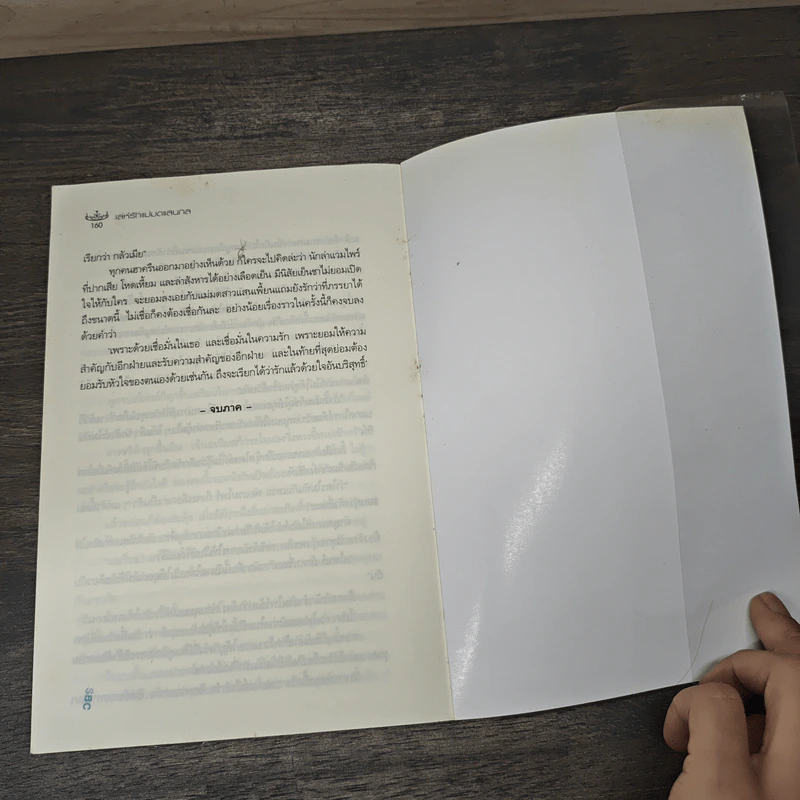 เล่ห์รักแม่มดแสนกล - ไอศิยา รูปที่ 8
