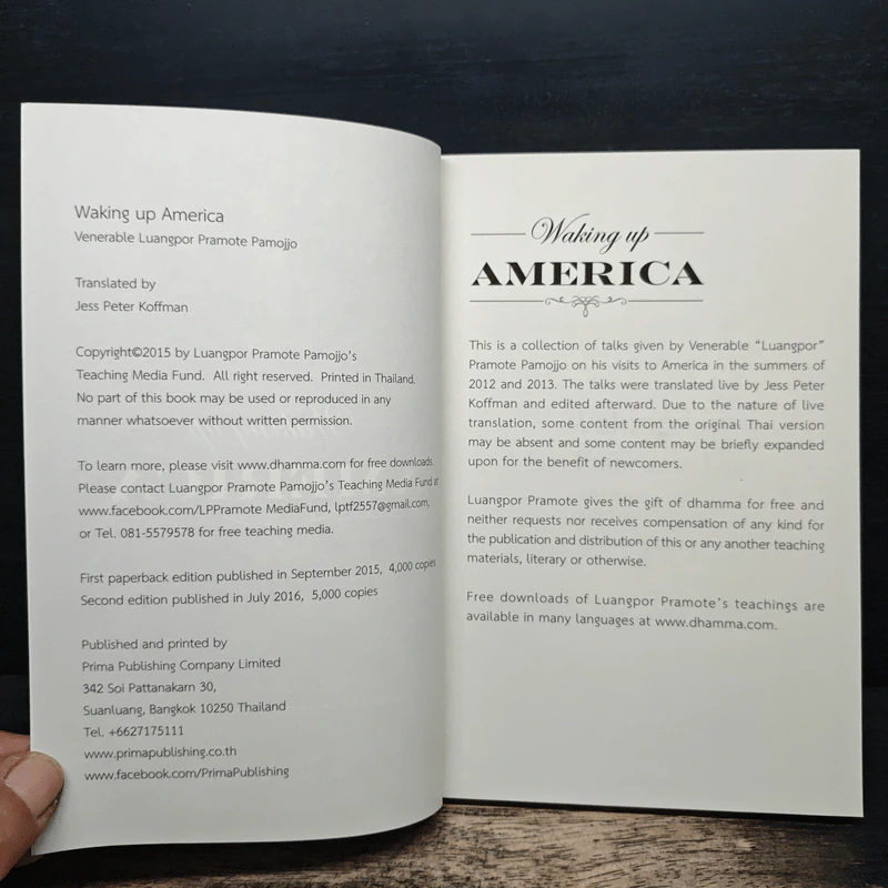 Waking Up America - Jess Peter Koffman รูปที่ 6