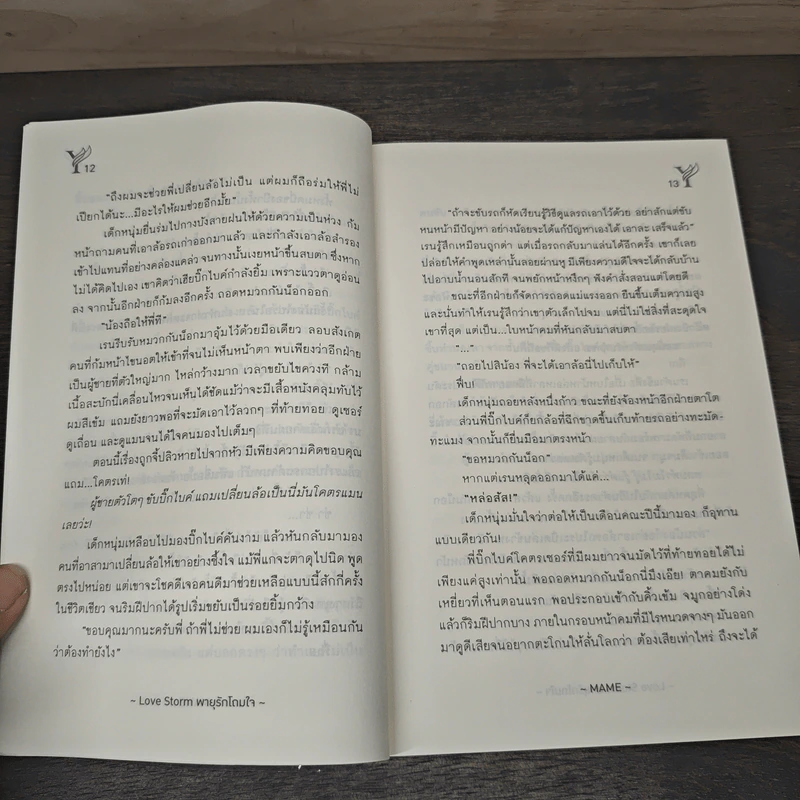 พายุรักโถมใจ Love Storm - MAME รูปที่ 7