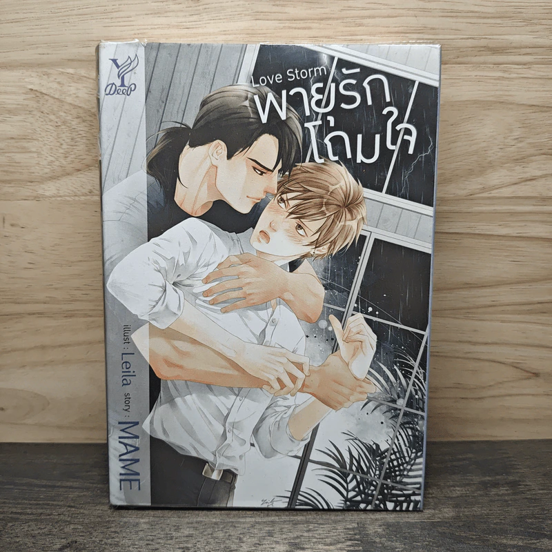 พายุรักโถมใจ Love Storm - MAME รูปที่ 1